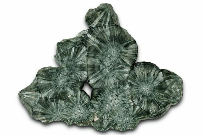 Polished Seraphinite Slab - Korshunovkiy Mine, Siberia #352662